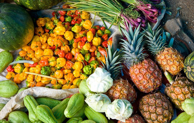 构建科学合理的农产品供应链合作利益分配体系