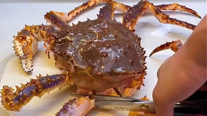 东方迈德 当美食探店遇上二次元文化，哔哩哔哩上的新晋美食UP主